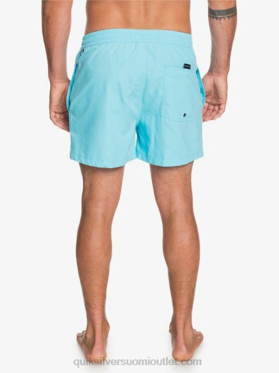 Quiksilver D6JJ466 miehet tyynenmeren sininen päivittäin 15 lentopalloa