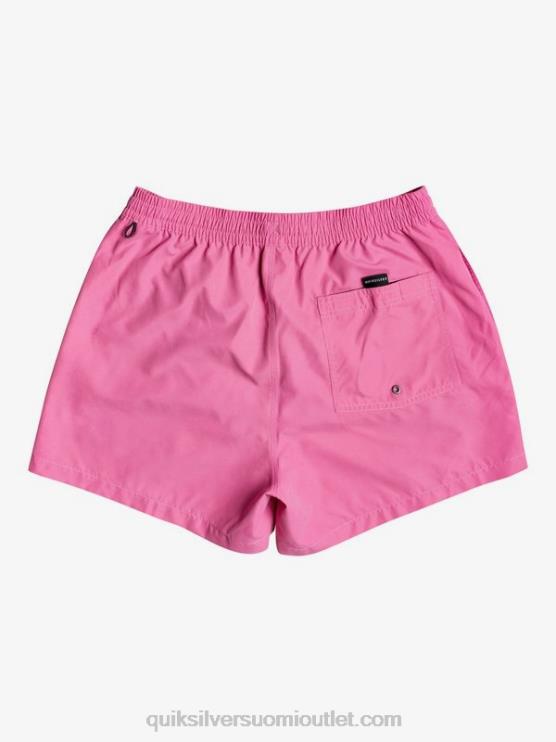 Quiksilver D6JJ467 miehet karmiinin ruusu päivittäin 15 lentopalloa