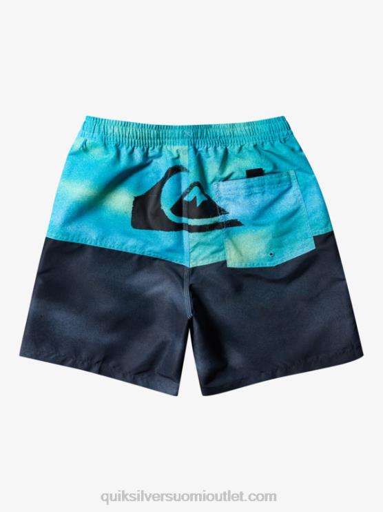 Quiksilver D6JJ482 miehet joen sininen peppu logo 17 volleya