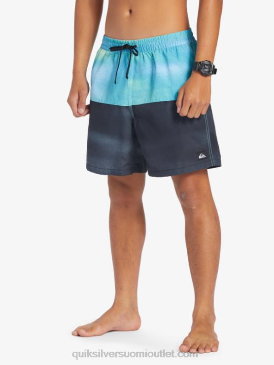 Quiksilver D6JJ482 miehet joen sininen peppu logo 17 volleya