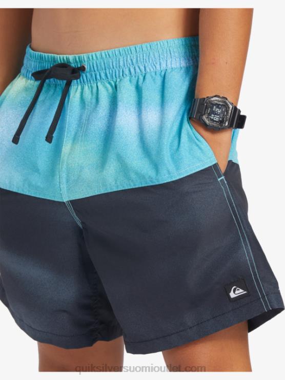 Quiksilver D6JJ482 miehet joen sininen peppu logo 17 volleya