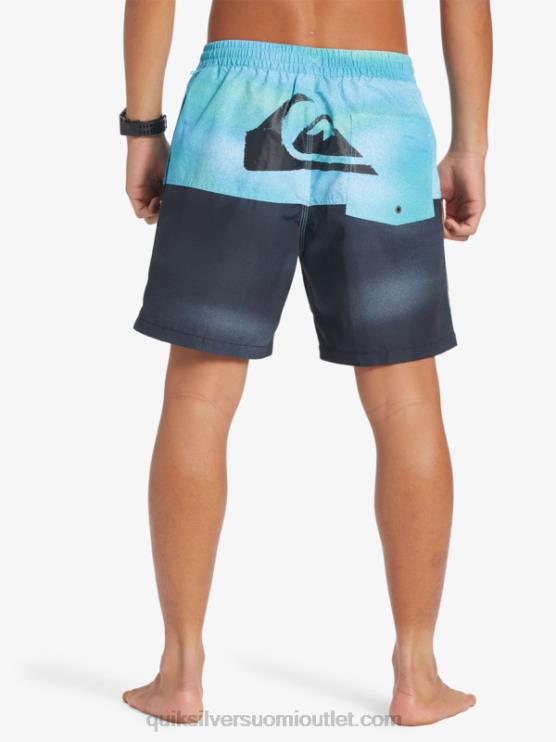 Quiksilver D6JJ482 miehet joen sininen peppu logo 17 volleya