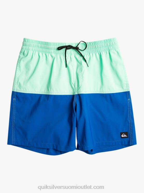 Quiksilver D6JJ485 miehet snorkkelin sininen peppu logo 17 volleya