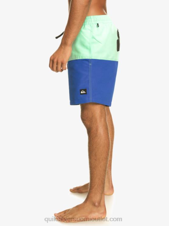 Quiksilver D6JJ485 miehet snorkkelin sininen peppu logo 17 volleya