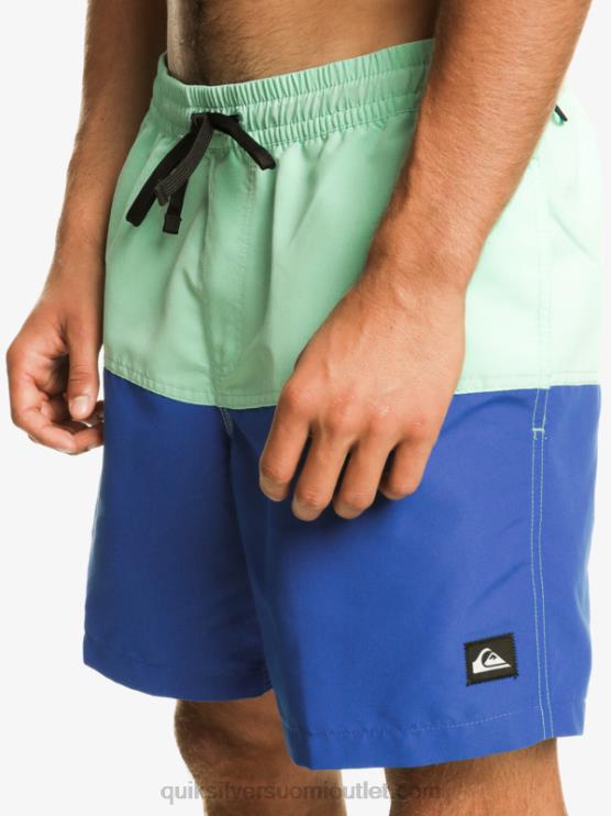 Quiksilver D6JJ485 miehet snorkkelin sininen peppu logo 17 volleya