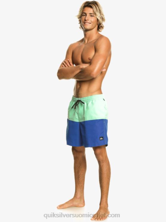 Quiksilver D6JJ485 miehet snorkkelin sininen peppu logo 17 volleya