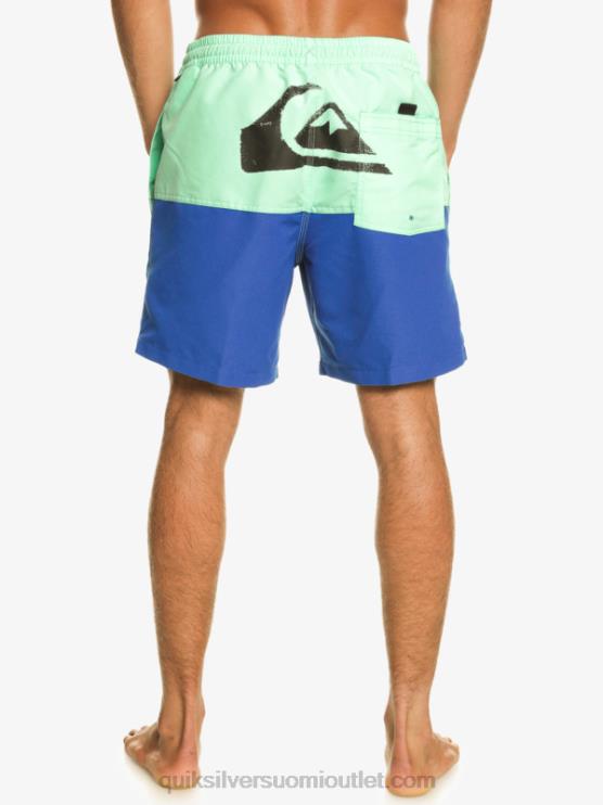 Quiksilver D6JJ485 miehet snorkkelin sininen peppu logo 17 volleya