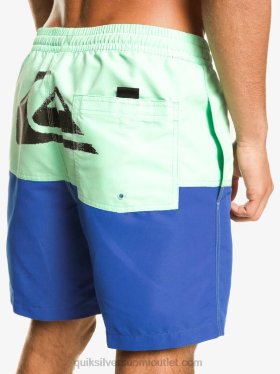 Quiksilver D6JJ485 miehet snorkkelin sininen peppu logo 17 volleya