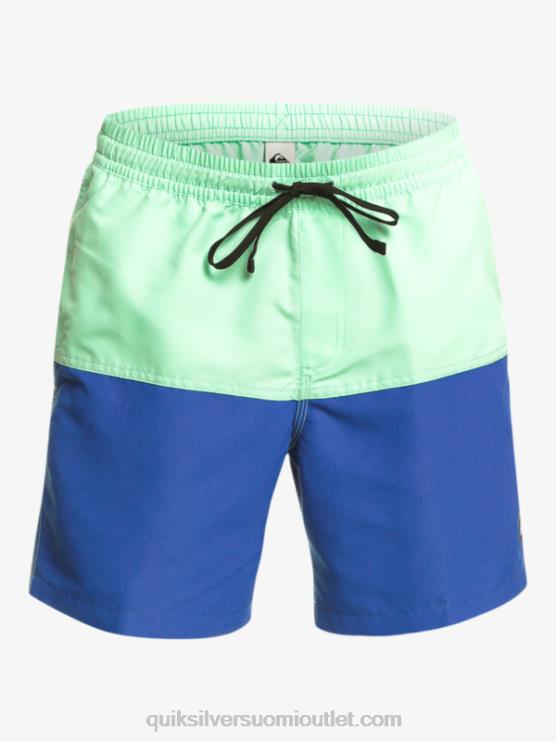 Quiksilver D6JJ485 miehet snorkkelin sininen peppu logo 17 volleya