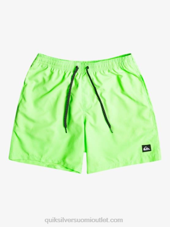 Quiksilver D6JJ621 miehet vihreä gekko päivittäin 17 lentopalloa
