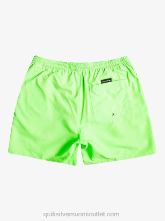 Quiksilver D6JJ621 miehet vihreä gekko päivittäin 17 lentopalloa