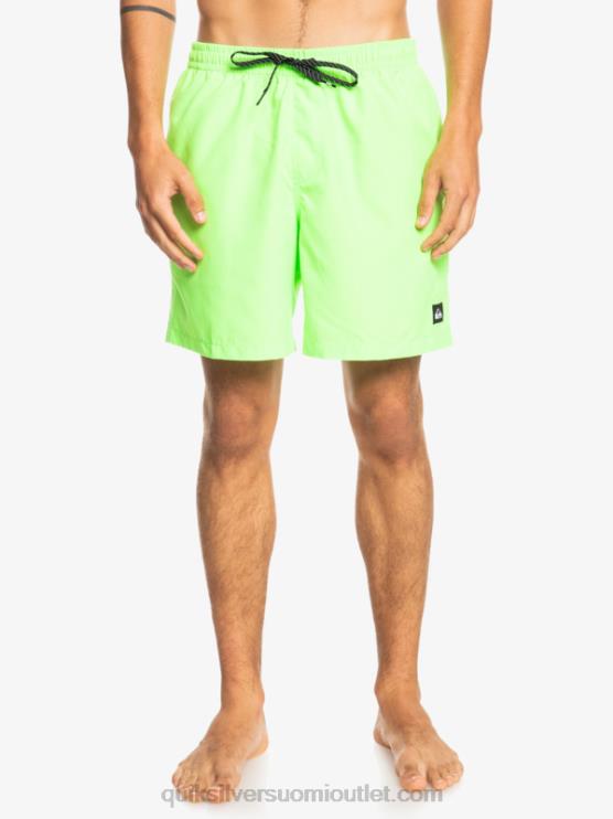 Quiksilver D6JJ621 miehet vihreä gekko päivittäin 17 lentopalloa