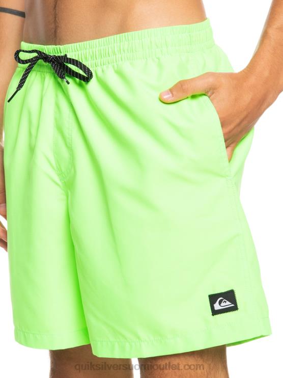 Quiksilver D6JJ621 miehet vihreä gekko päivittäin 17 lentopalloa