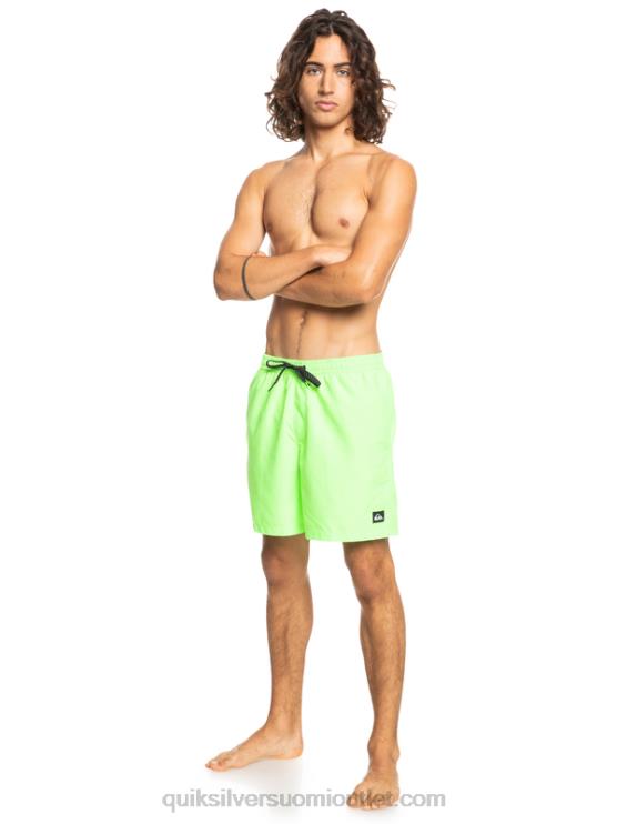 Quiksilver D6JJ621 miehet vihreä gekko päivittäin 17 lentopalloa
