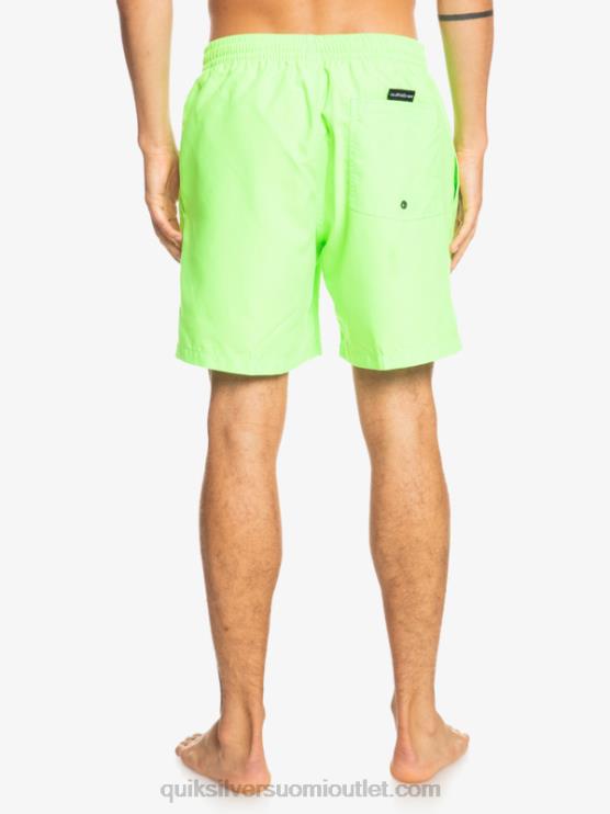 Quiksilver D6JJ621 miehet vihreä gekko päivittäin 17 lentopalloa