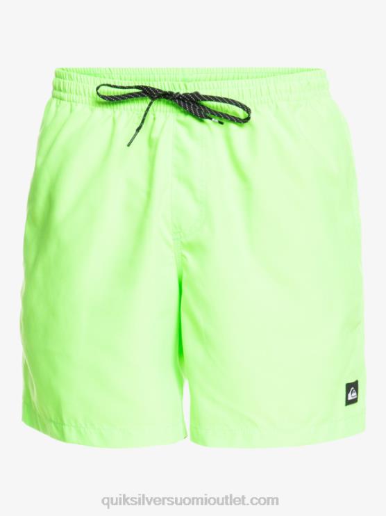 Quiksilver D6JJ621 miehet vihreä gekko päivittäin 17 lentopalloa