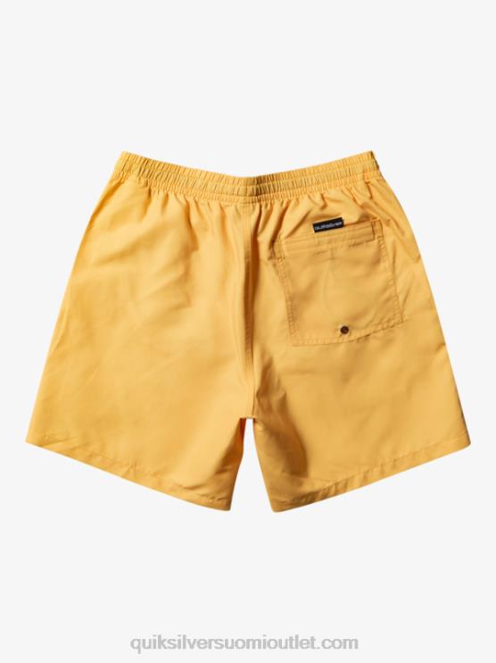 Quiksilver D6JJ623 miehet keltuainen keltainen päivittäin 17 lentopalloa