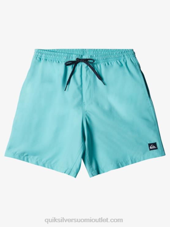 Quiksilver D6JJ630 miehet enkelinsininen kanerva päivittäin 17 lentopalloa