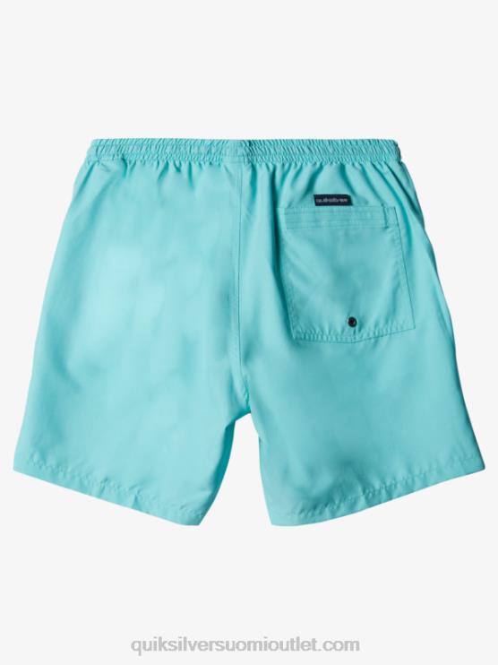 Quiksilver D6JJ630 miehet enkelinsininen kanerva päivittäin 17 lentopalloa