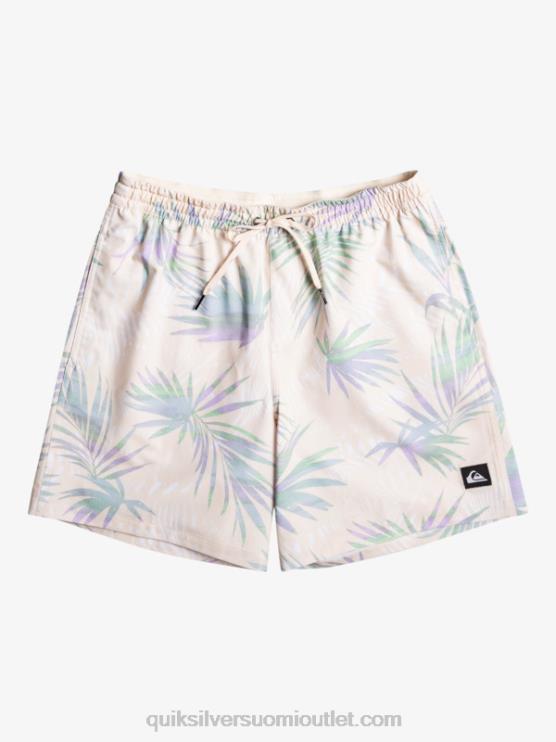 Quiksilver D6JJ635 miehet koivu surfsilk mix 17 volleya