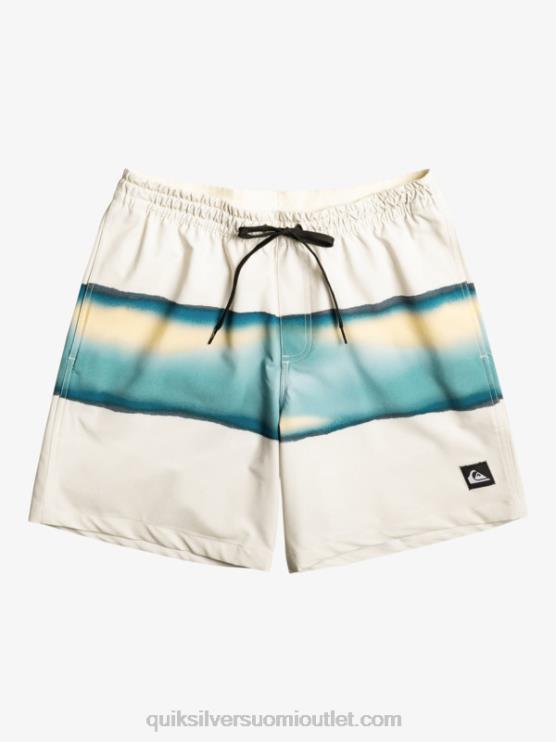 Quiksilver D6JJ656 miehet koivu surfsilk air-brush 17 volleya