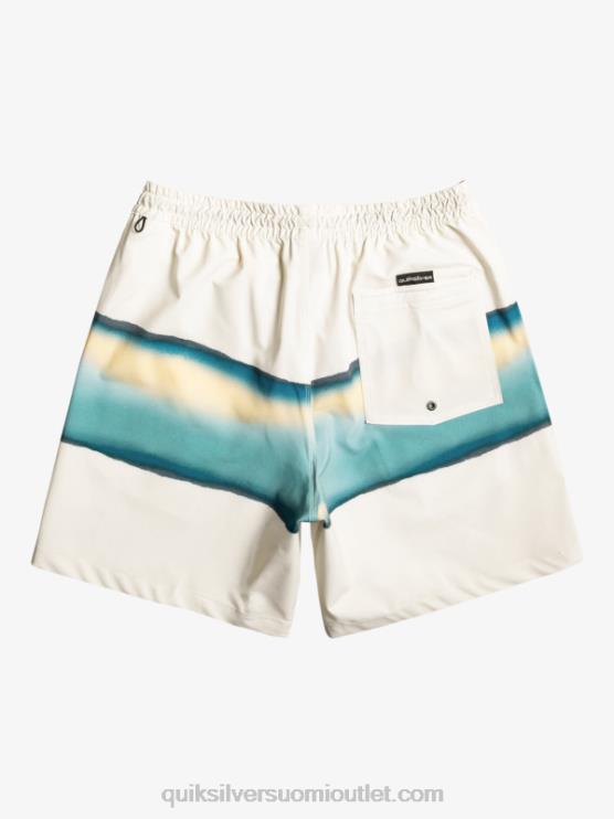 Quiksilver D6JJ656 miehet koivu surfsilk air-brush 17 volleya