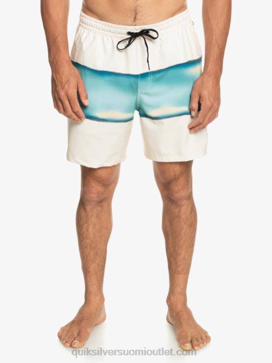 Quiksilver D6JJ656 miehet koivu surfsilk air-brush 17 volleya