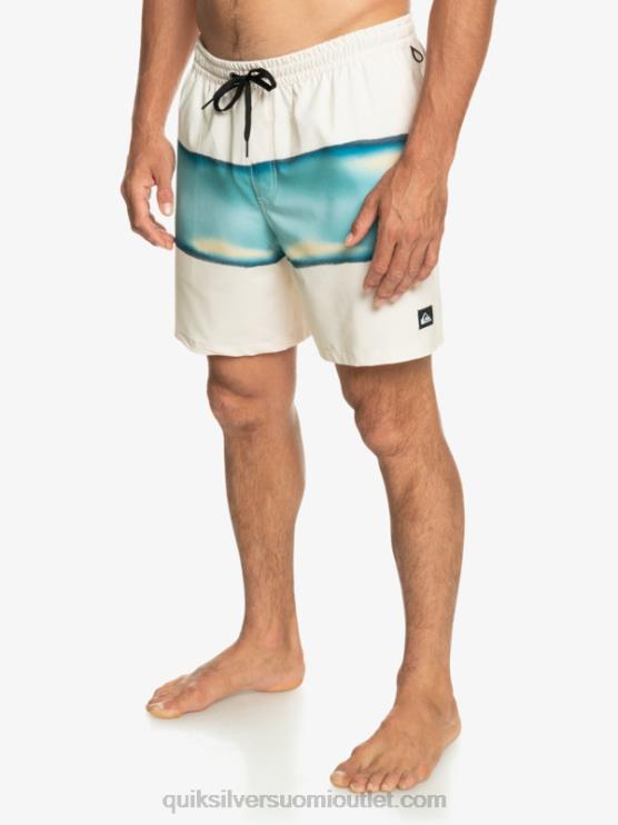 Quiksilver D6JJ656 miehet koivu surfsilk air-brush 17 volleya