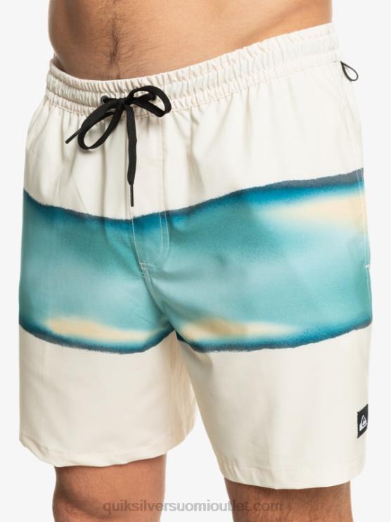 Quiksilver D6JJ656 miehet koivu surfsilk air-brush 17 volleya