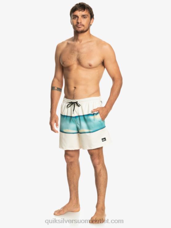 Quiksilver D6JJ656 miehet koivu surfsilk air-brush 17 volleya