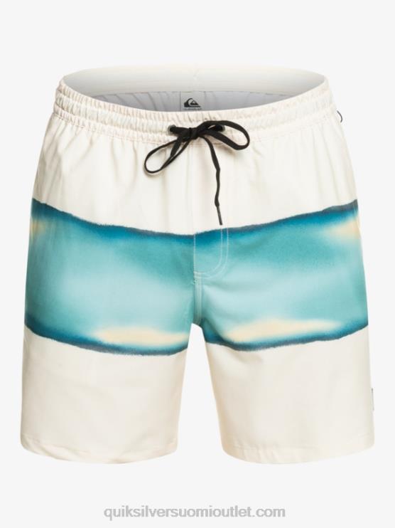 Quiksilver D6JJ656 miehet koivu surfsilk air-brush 17 volleya