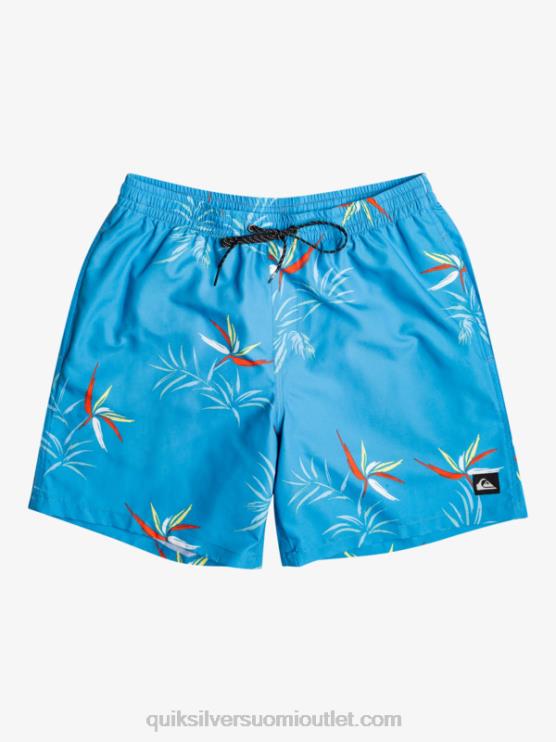 Quiksilver D6JJ674 miehet taivaansininen päivittäinen sekoitus 17 lentopalloa