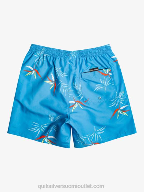 Quiksilver D6JJ674 miehet taivaansininen päivittäinen sekoitus 17 lentopalloa