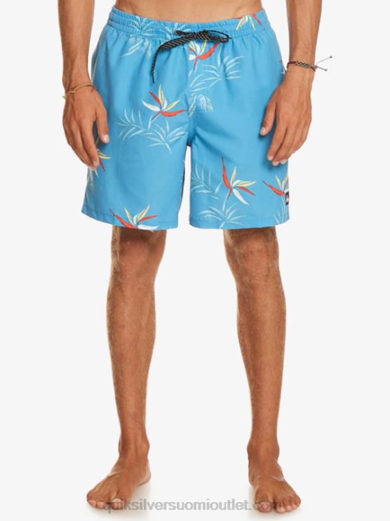Quiksilver D6JJ674 miehet taivaansininen päivittäinen sekoitus 17 lentopalloa
