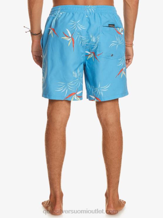 Quiksilver D6JJ674 miehet taivaansininen päivittäinen sekoitus 17 lentopalloa