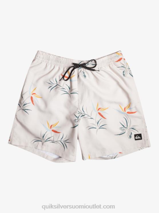 Quiksilver D6JJ676 miehet koivu päivittäinen sekoitus 17 lentopalloa
