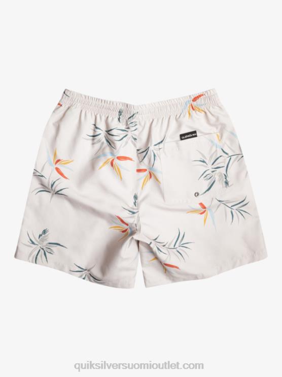 Quiksilver D6JJ676 miehet koivu päivittäinen sekoitus 17 lentopalloa