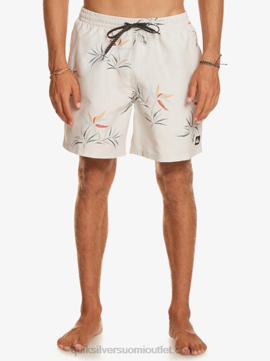 Quiksilver D6JJ676 miehet koivu päivittäinen sekoitus 17 lentopalloa