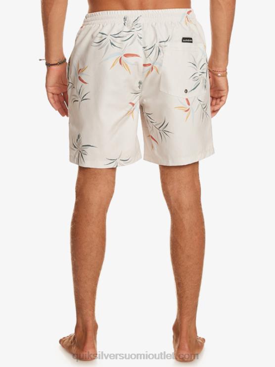 Quiksilver D6JJ676 miehet koivu päivittäinen sekoitus 17 lentopalloa