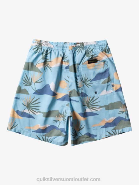 Quiksilver D6JJ677 miehet taivaansininen päivittäinen sekoitus 17 lentopalloa