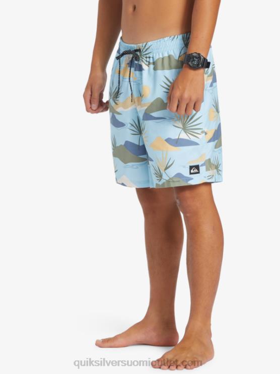 Quiksilver D6JJ677 miehet taivaansininen päivittäinen sekoitus 17 lentopalloa