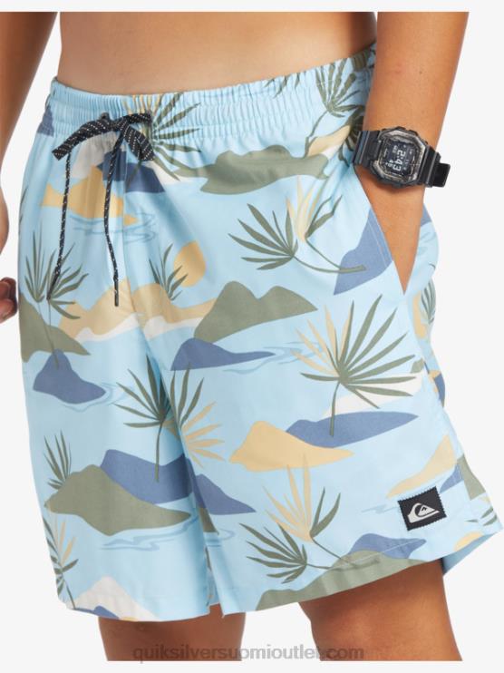 Quiksilver D6JJ677 miehet taivaansininen päivittäinen sekoitus 17 lentopalloa
