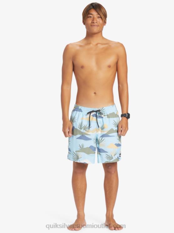 Quiksilver D6JJ677 miehet taivaansininen päivittäinen sekoitus 17 lentopalloa