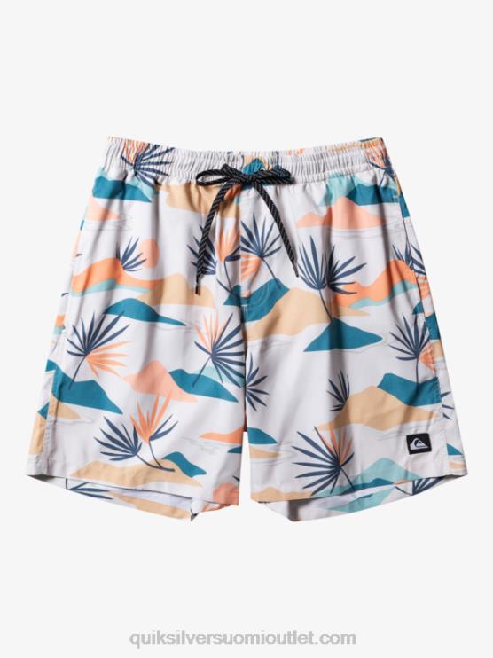 Quiksilver D6JJ678 miehet koivu päivittäinen sekoitus 17 lentopalloa