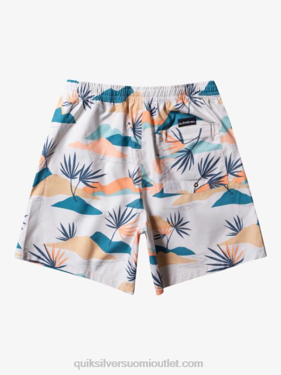 Quiksilver D6JJ678 miehet koivu päivittäinen sekoitus 17 lentopalloa
