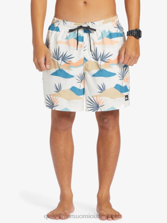 Quiksilver D6JJ678 miehet koivu päivittäinen sekoitus 17 lentopalloa