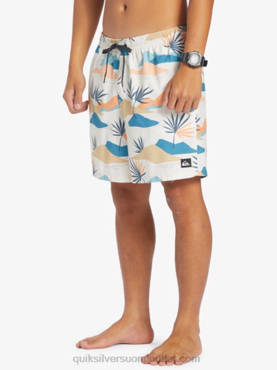 Quiksilver D6JJ678 miehet koivu päivittäinen sekoitus 17 lentopalloa