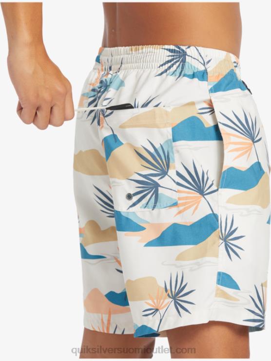 Quiksilver D6JJ678 miehet koivu päivittäinen sekoitus 17 lentopalloa