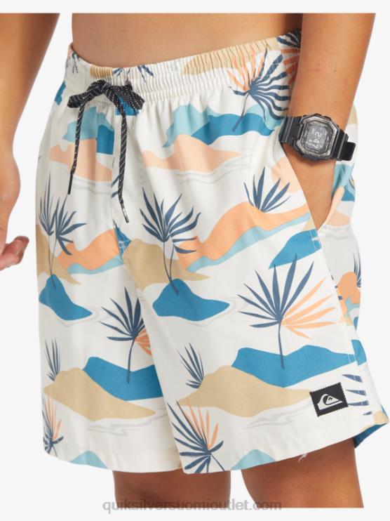 Quiksilver D6JJ678 miehet koivu päivittäinen sekoitus 17 lentopalloa