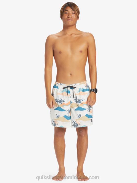 Quiksilver D6JJ678 miehet koivu päivittäinen sekoitus 17 lentopalloa